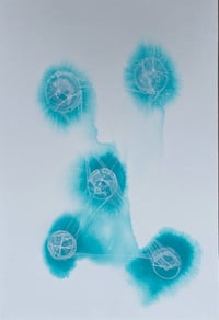 Mycelium Dream I