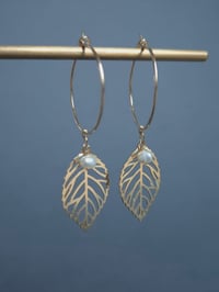Image 1 of Créoles feuilles ajourées