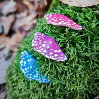 Image 3 of Mały magnes na lodówkę - Hubki 