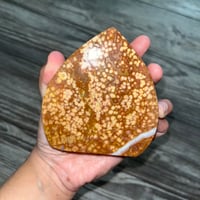 Image 3 of Ocean Jasper Freeform 