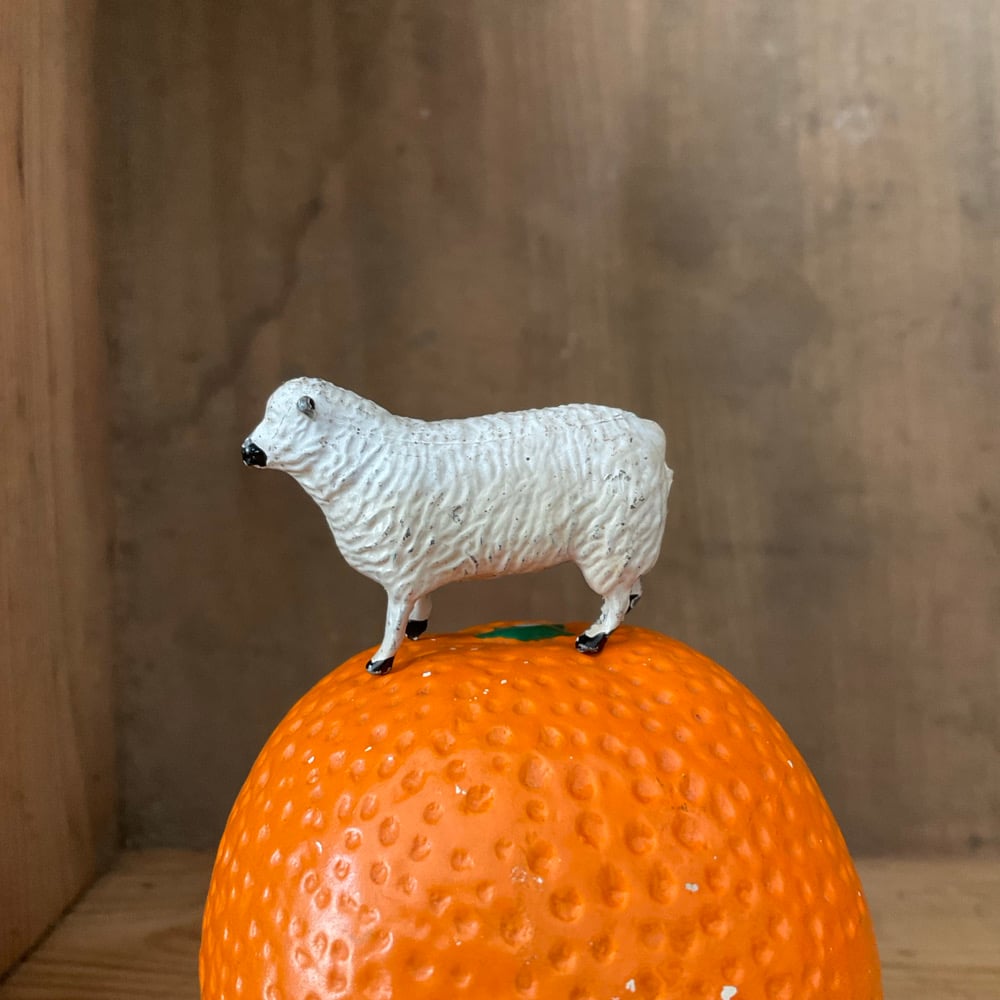 Image of Orange & Sheep