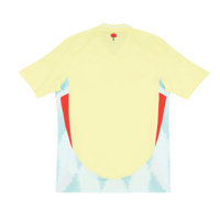 Image 2 of Spain Away - 2024/25