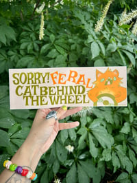 Feral Cat Bumper Sticker 