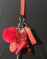 Image 1 of $24 keychain special 
