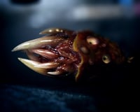 Image 11 of Little Monster Toothy pendant, OOAK,