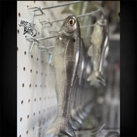 Image 3 of SD Shad
