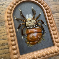 Image 1 of Pumpkin spider (c, 5x6 inches)