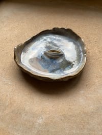 Image 3 of Grounding dish 76