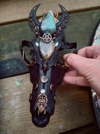 Image 18 of Spellbound adorned coyote skull 