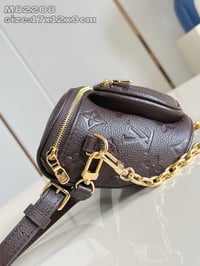 Image 16 of LV Mini Bumbag