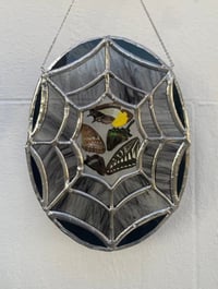 Image 1 of Caught In The Web