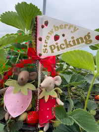 Image 1 of Strawberry Season