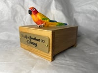 Image 7 of Custom Engraved Sunrise Conure Bird Mini Urn Pet Portrait To Your Photos