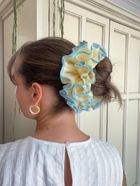 Image 2 of Yellow and blue Fruffle