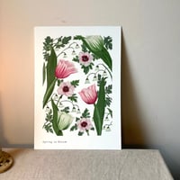 Image 1 of Spring in Bloom Art Print 