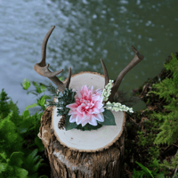 7 Point Buck Antler Wall Décor 