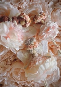 Image 3 of 3 Generation Set *Set of 3*