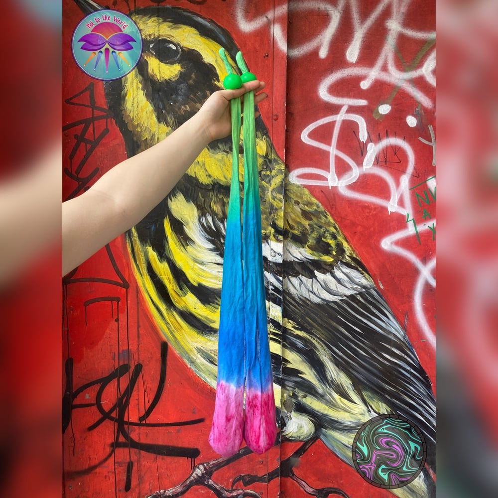 Image of Parrotfish Handdyed Poi 