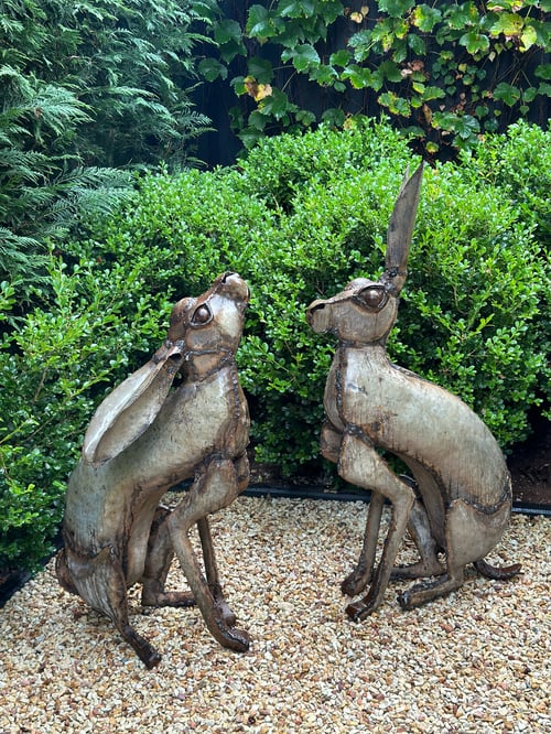 Image of Garden Hare Pair