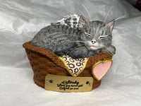 Image 4 of Custom Engraved Handpainted Sleeping Cat In Basket Urn