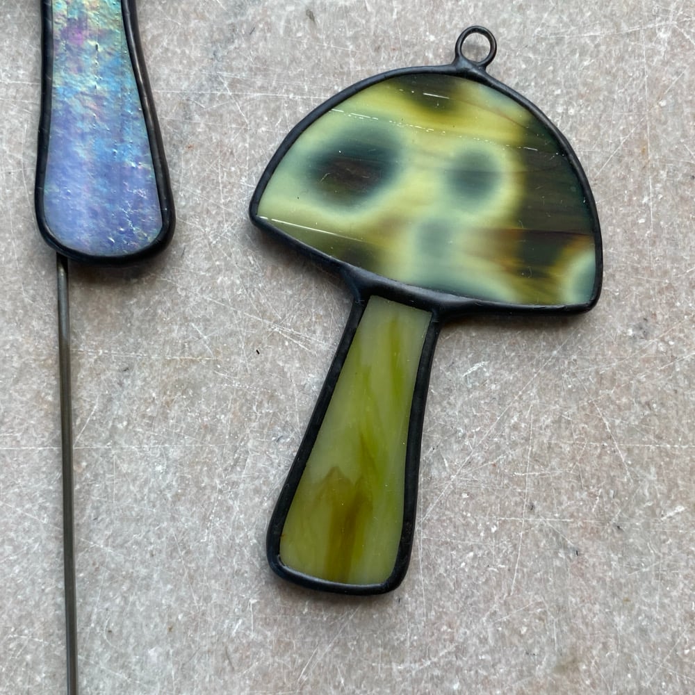 Image of Mushrooms