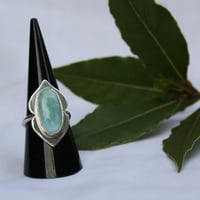 Image 3 of Shielded (Larimar)
