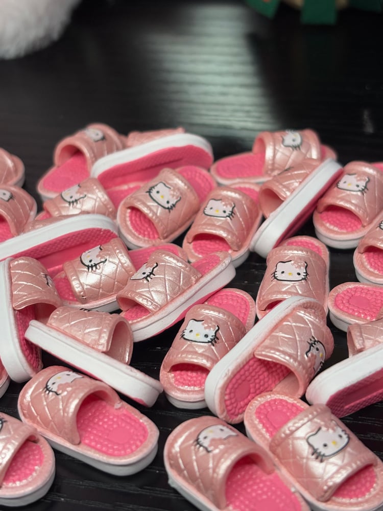 Image of HK slippers(pairs)