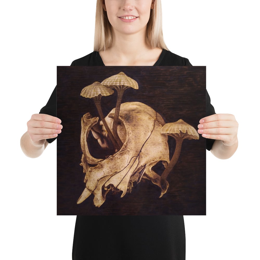 Photo Print: Broken Cat Skull and Mushrooms