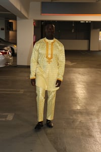Image 3 of The Sikani tux embroidery pants - gold 