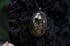 dead good insect scene necklace Image 6
