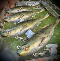 Image 1 of 6” Cutt Throat RIGGED Swimbaits - “ATOMIC SHAD”