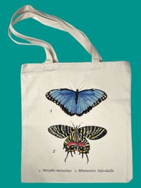 Image 2 of Totebag LEPIDOTTERI