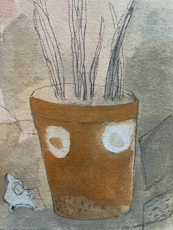 Image of Paperwhites in an old pot. 