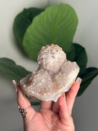 Image 3 of SELF STANDING SPARKLY APOPHYLITE STALACTITES -INDIA- H