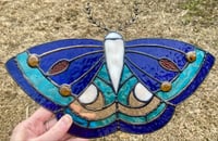 Image 2 of Polyphemus Moth (blue)