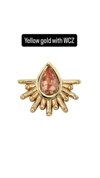 Image 5 of BVLA pre-order
