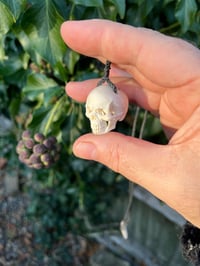 Image 4 of Fallow antler Skull pendant 