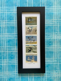 Image 21 of Framed 1930s Collectors Cards inc Motor Cars, Aeroplanes, Yachts, Film Stars, Dance and Exercise