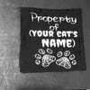 Custom Cat Toy with your pet’s name 