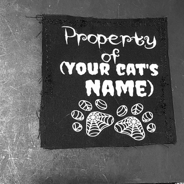 Custom Cat Toy with your pet’s name 