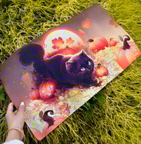 Image 3 of Playmats