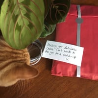 Image 5 of Drink Coffee, Dunk Biscuits, Live Well Tea Towel