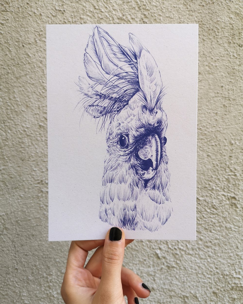 Cockatoo is happy