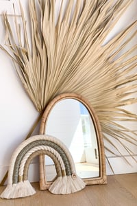 Image 3 of Ivy  Rainbow