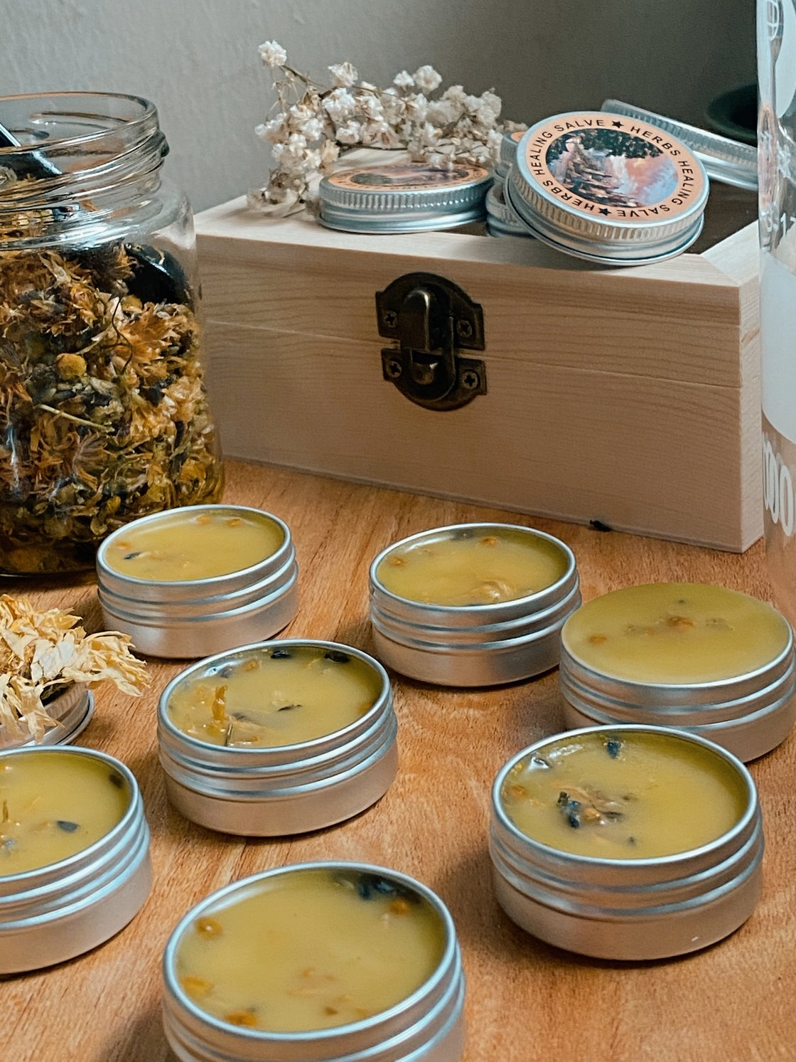 Image of Herbs Healing Salve