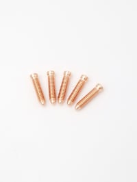 Copper Micro Head Contact Screw