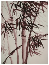 Image 1 of Bamboo