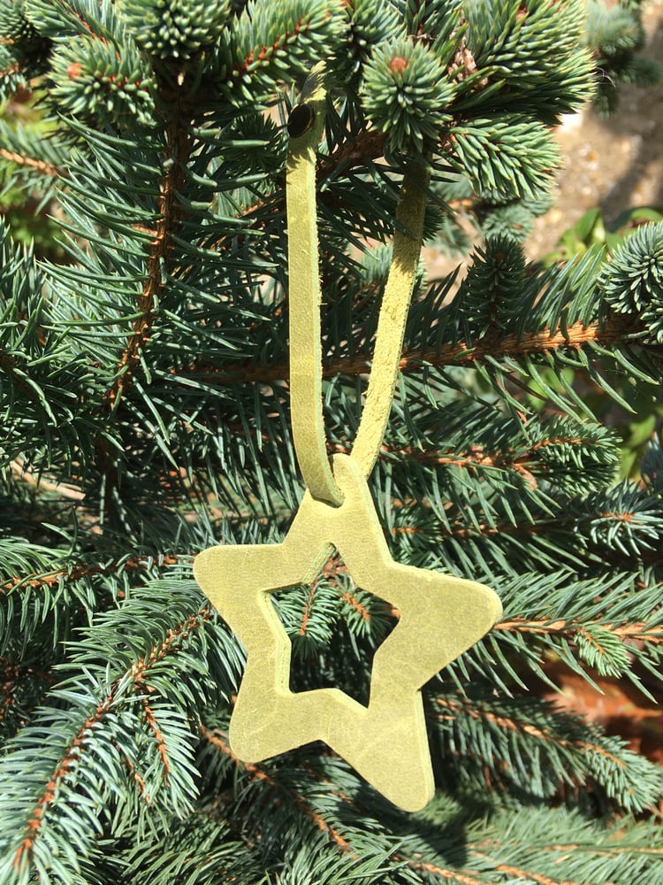 Image of Christmas Stars