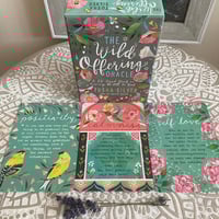 Image 5 of Oracle Cards - Sacred Self Care Oracle, Sacred Traveler, Gaia Oracle & Wild Offering Oracle