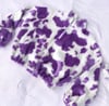 Luxury Purple Cow Faux Fur Jumper Jacket 